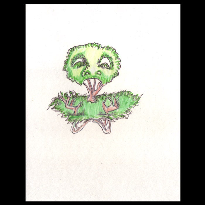 image18