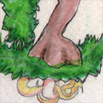 image14