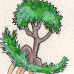 image12