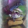 turtltwn
